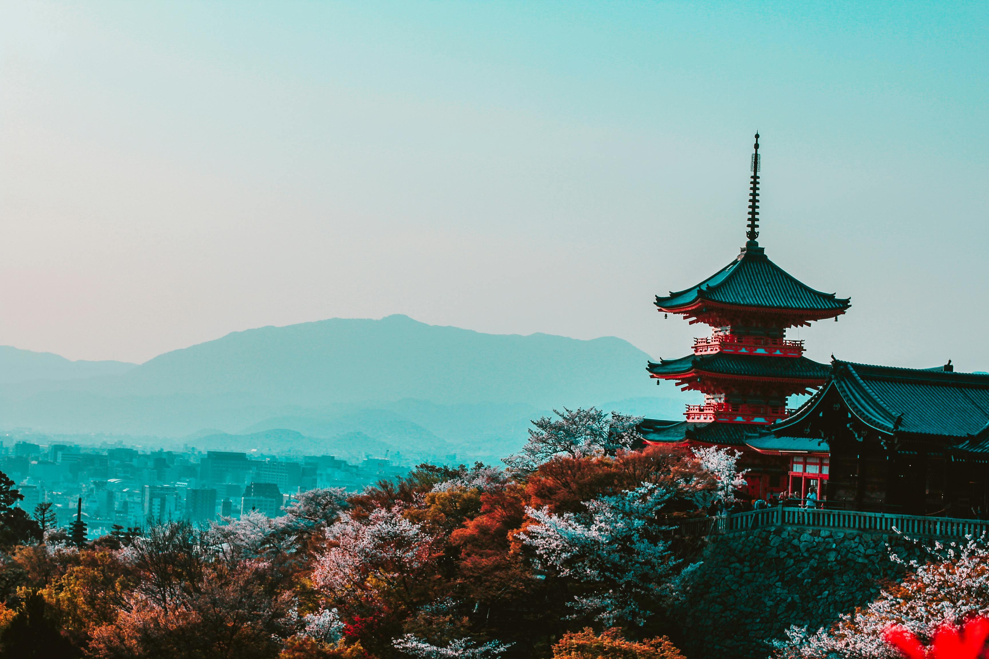 Hôtels de Kyoto qui acceptent les chiens