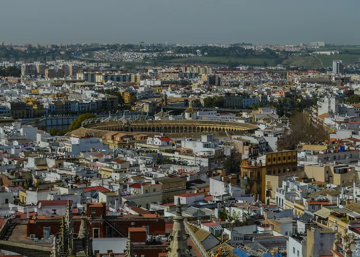 Seville Dog Friendly Hotels