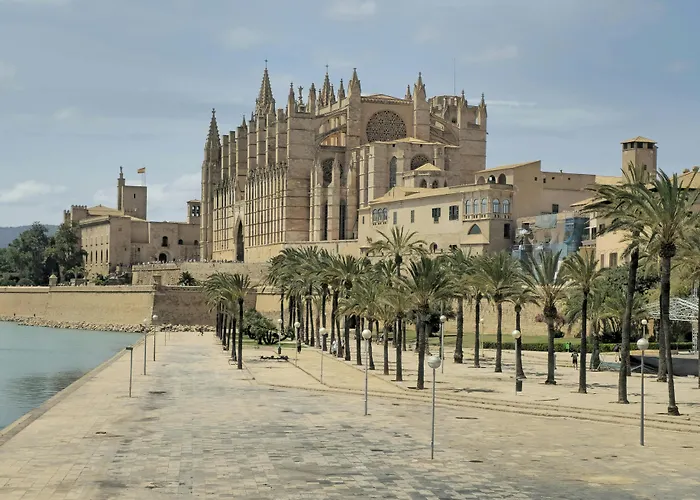 Hotéis que aceitam cães de Palma de Maiorca