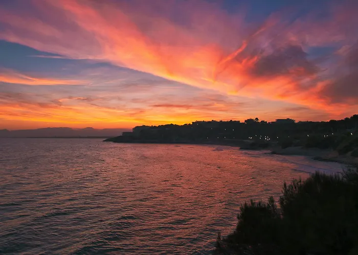 Salou Dog Friendly Hotels
