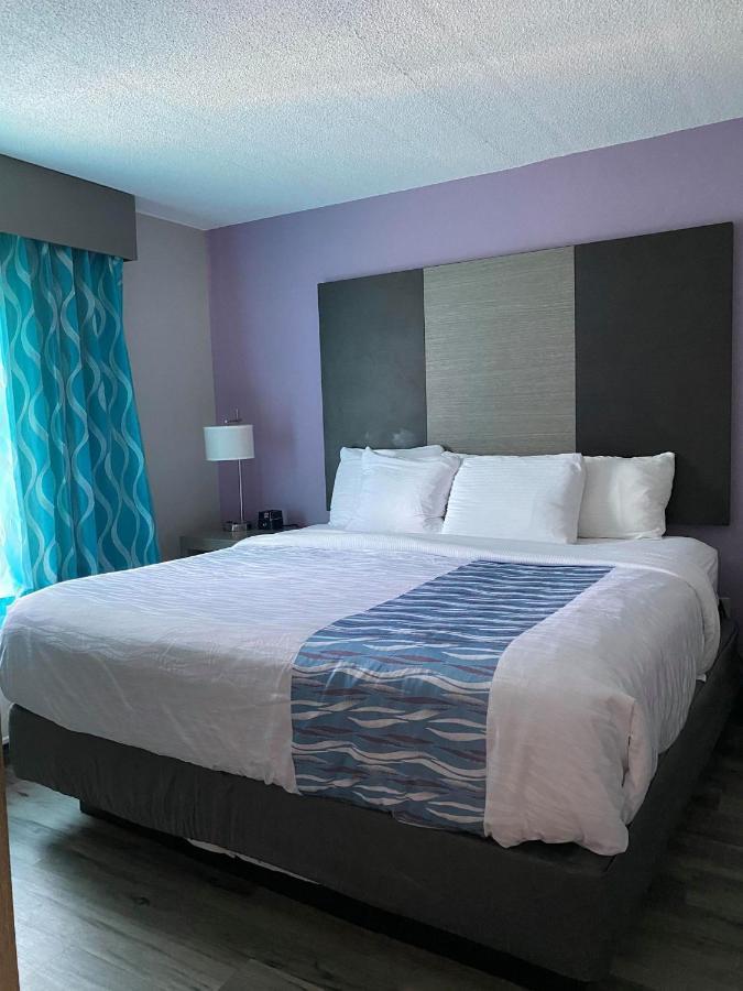 One-Bedroom Executive King Suite Non-Smoking
