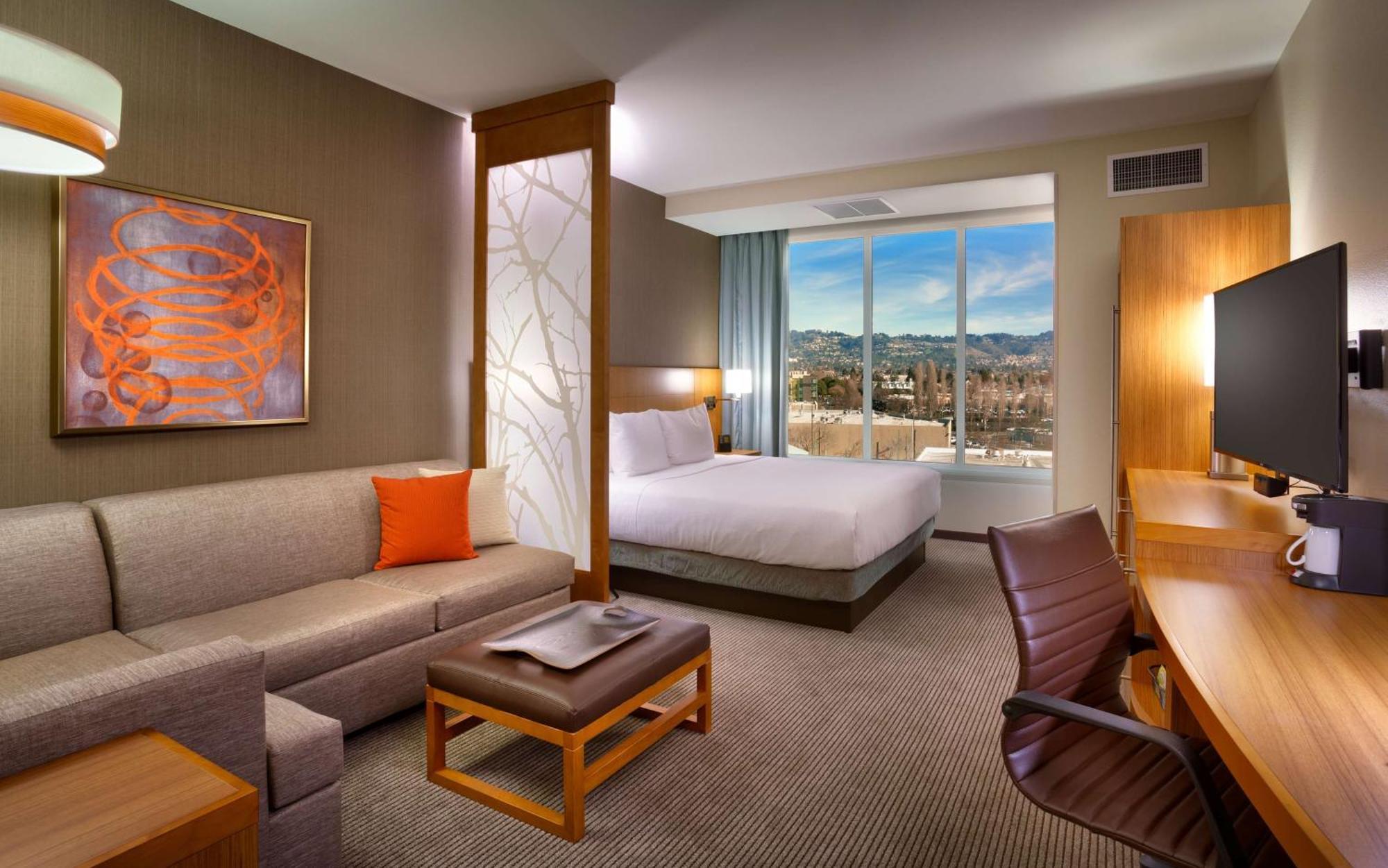 King Room with Sofa Bed