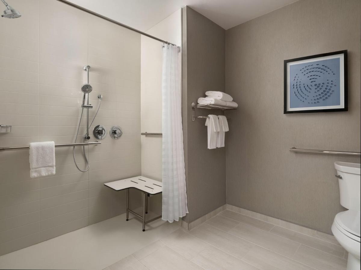 King Room Sofa Bed Accessible Tub Disability Access
