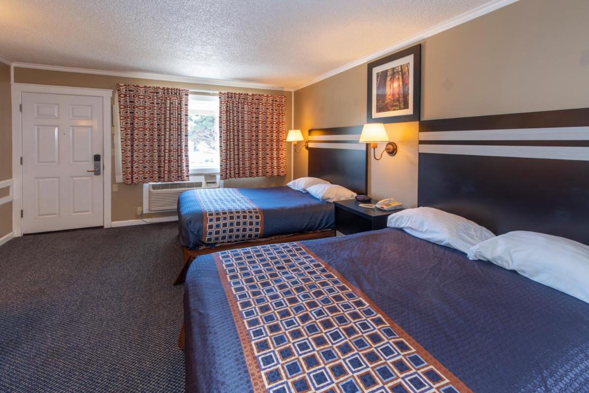 Mini Suite