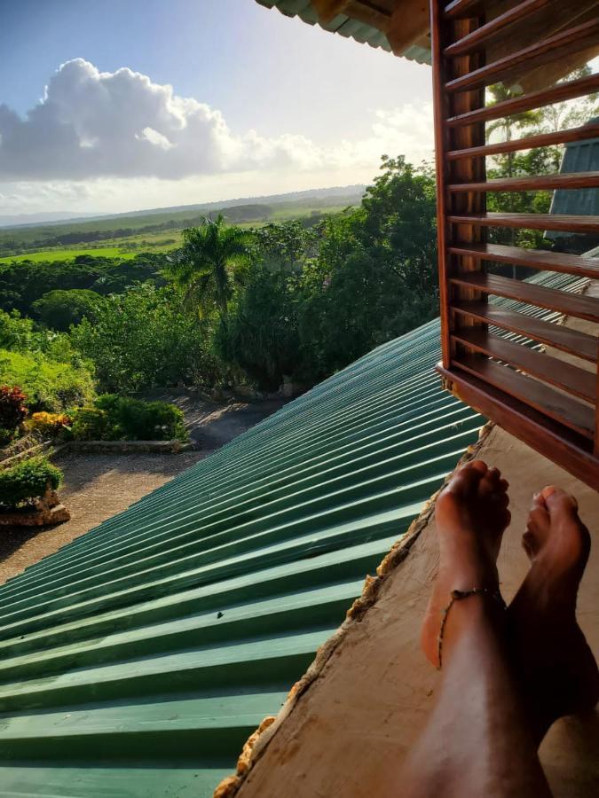 Superior Twin Room with Garden View
