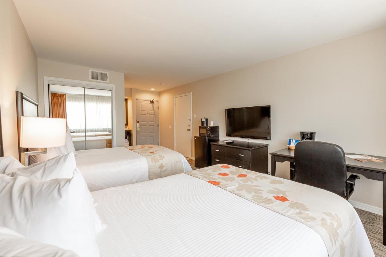 Double Room with Two Double Beds - Non-Smoking