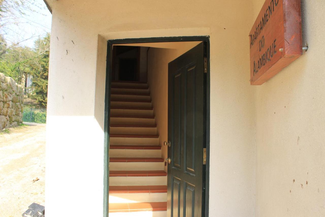 Family Apartment,1589434545:JPEG