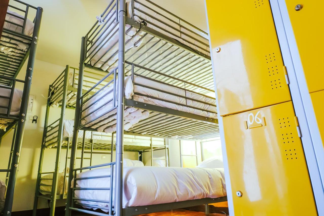 Bunk Bed Mixed Dormitory Room