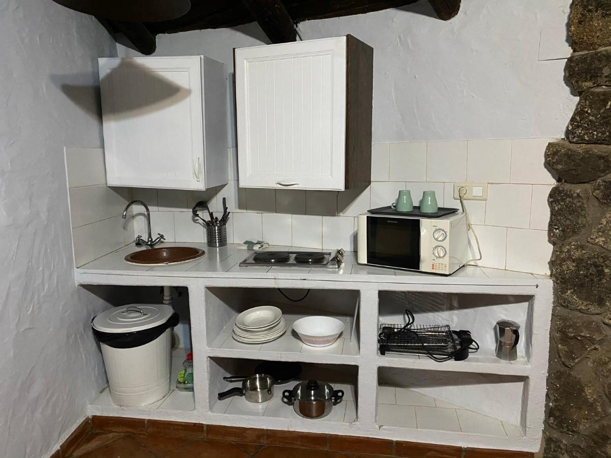 Standard Bungalow