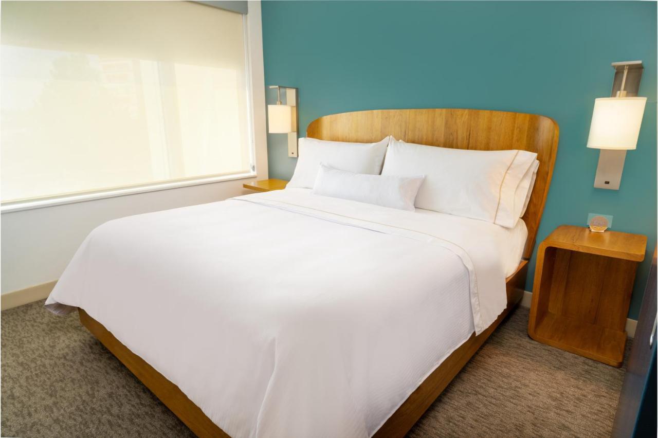 1 Bedroom Suite 1 King