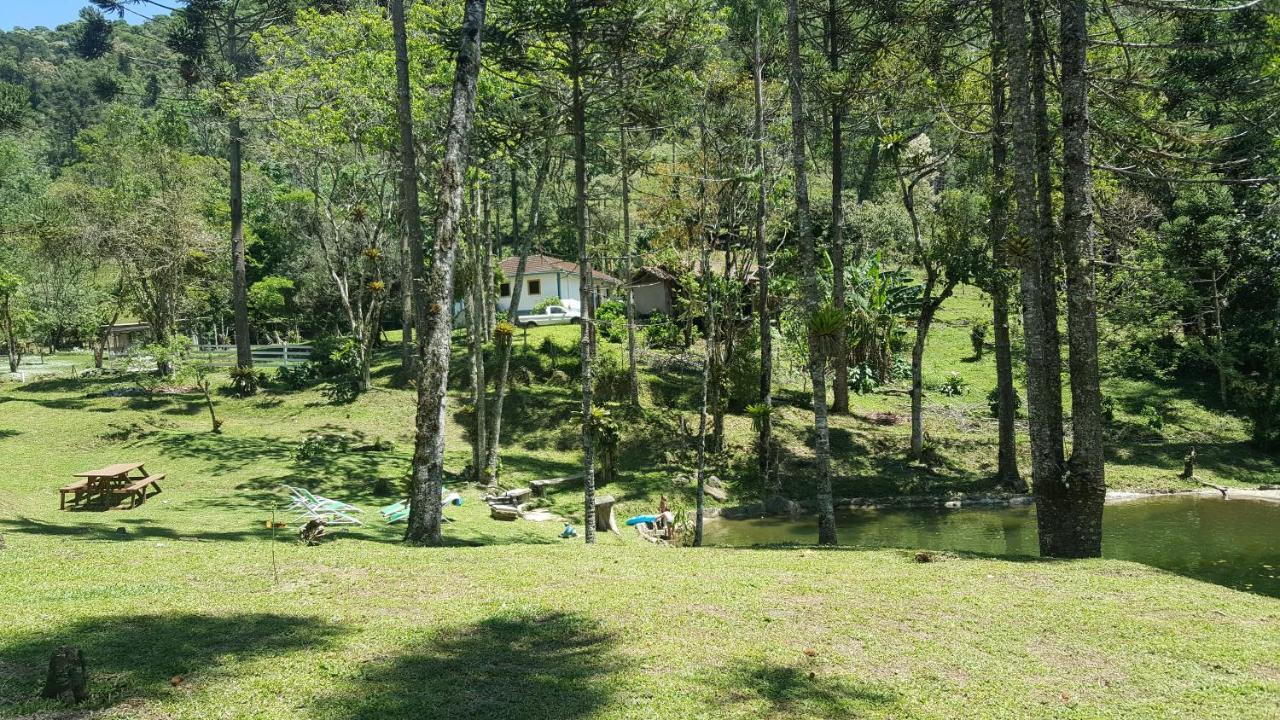 Suíte