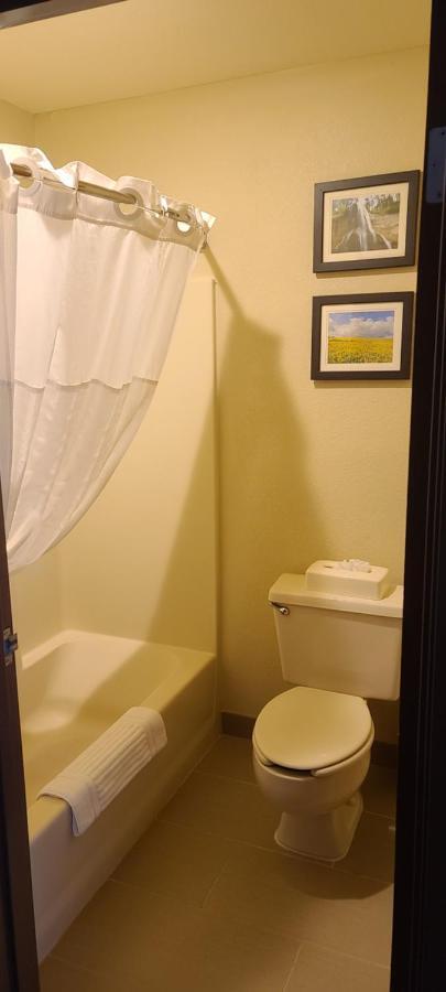 Queen Room - Non-Smoking