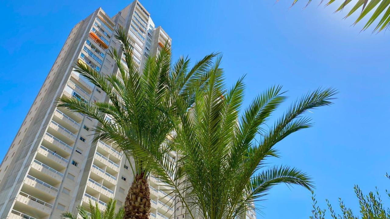 Apartment Garden View