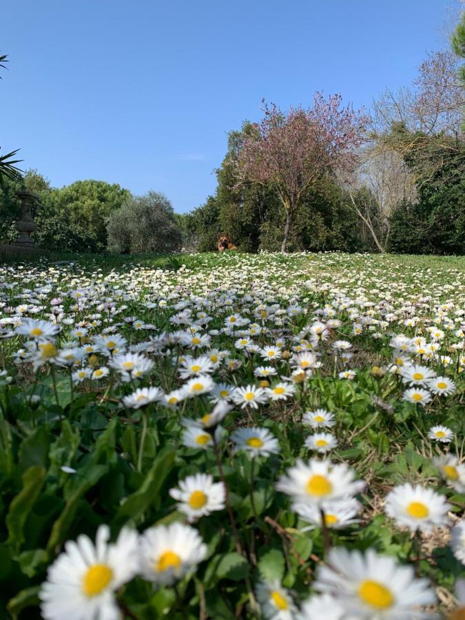 Suite Garden View,1756723055:JPEG