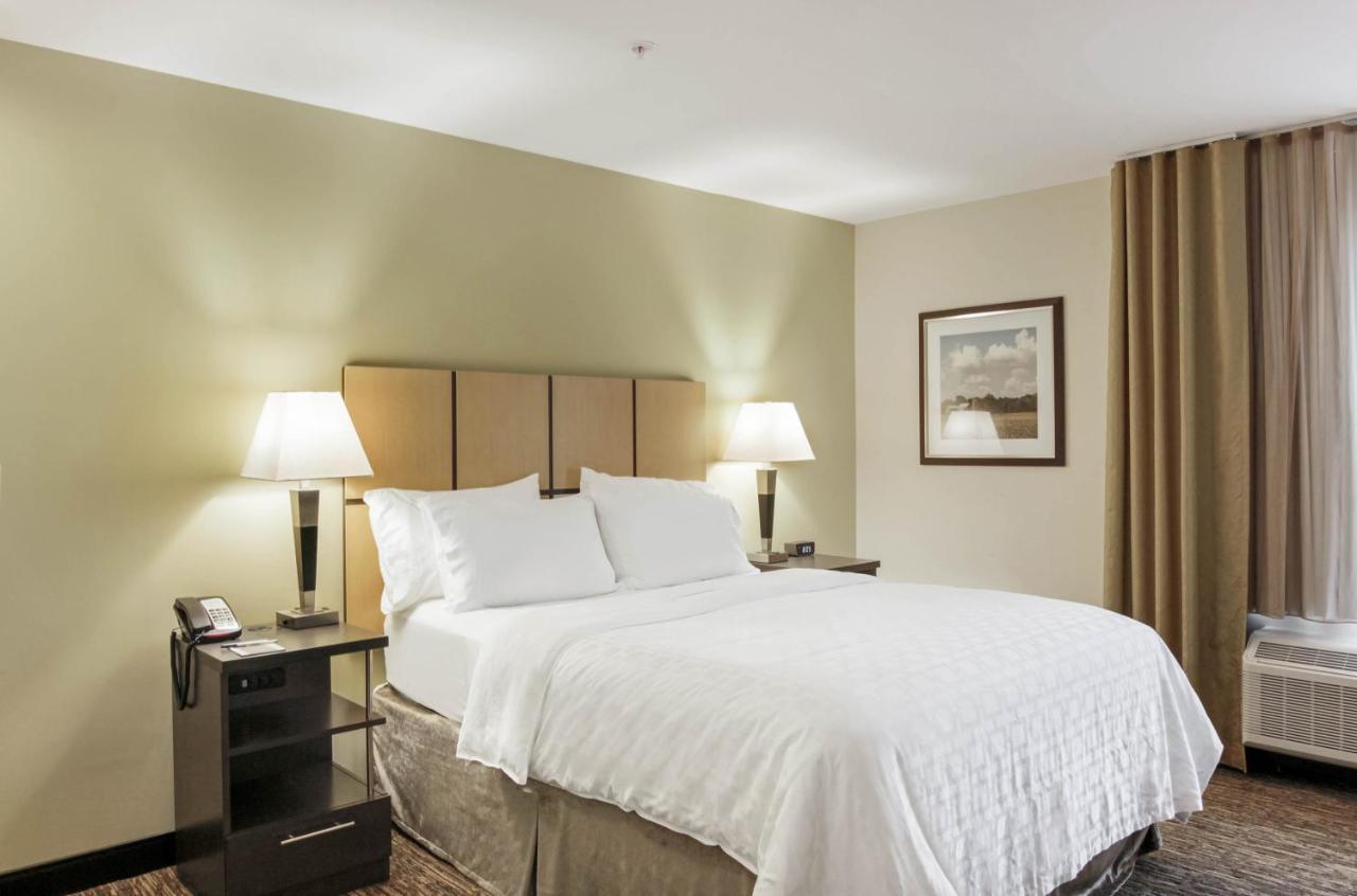 Queen Studio Suite