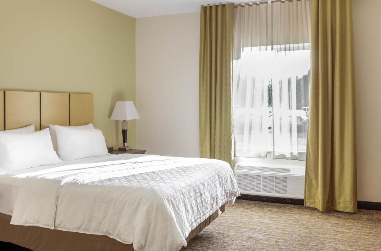 Queen Studio Suite