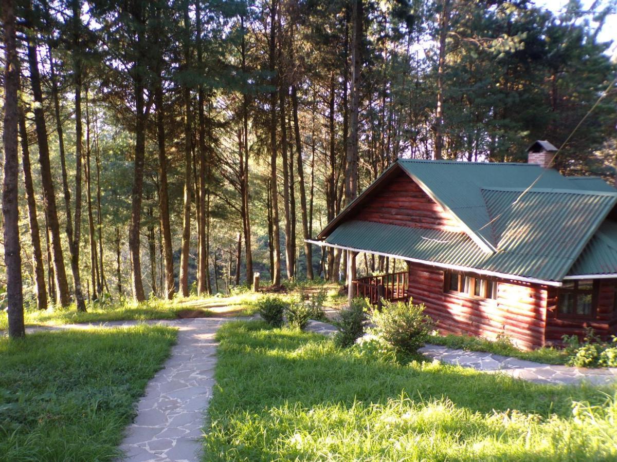 Family Double Room