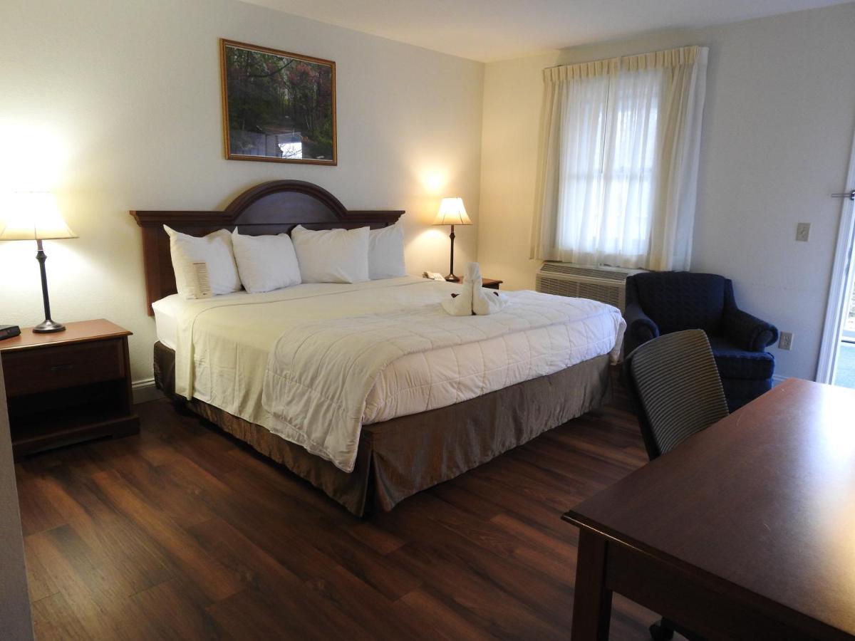 King Room Pet Friendly