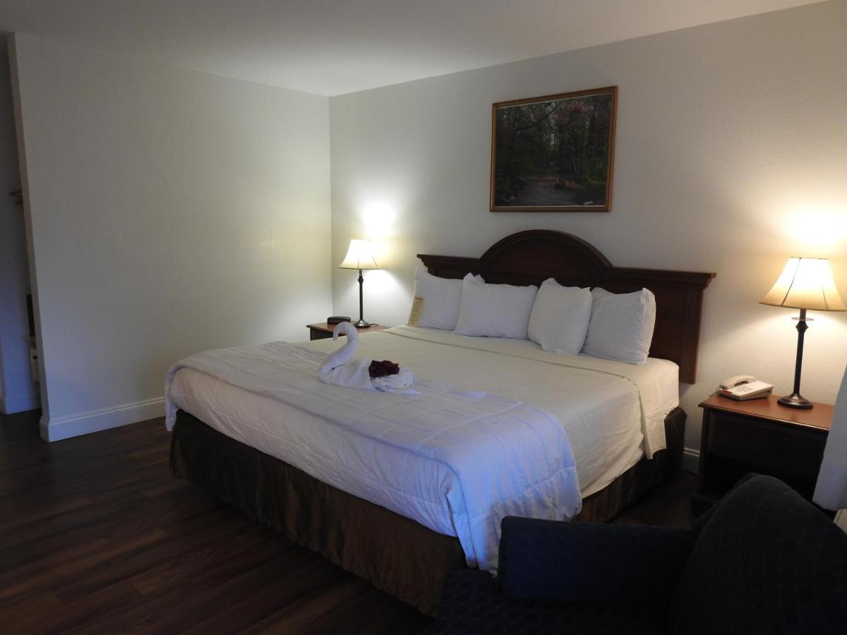 King Room Pet Friendly