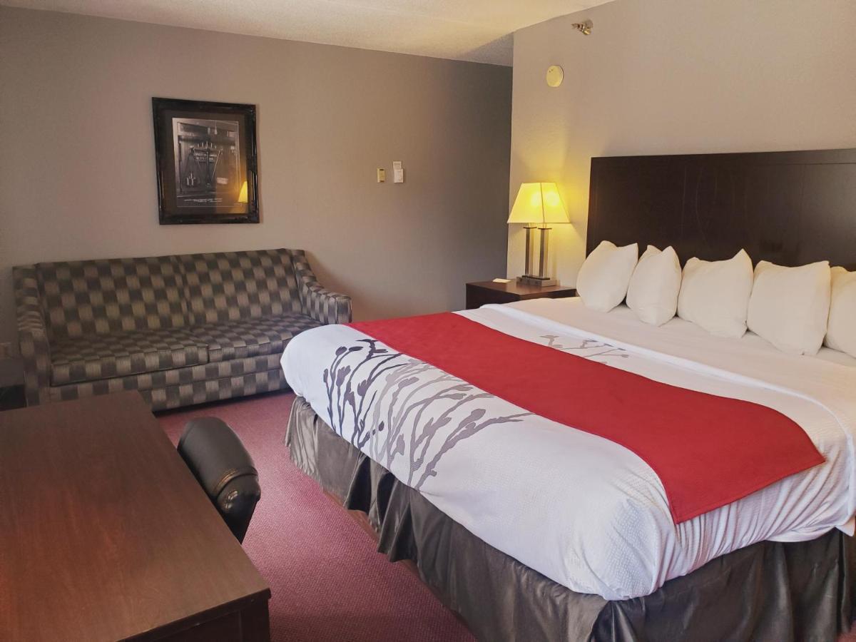 King Room Sofa Bed