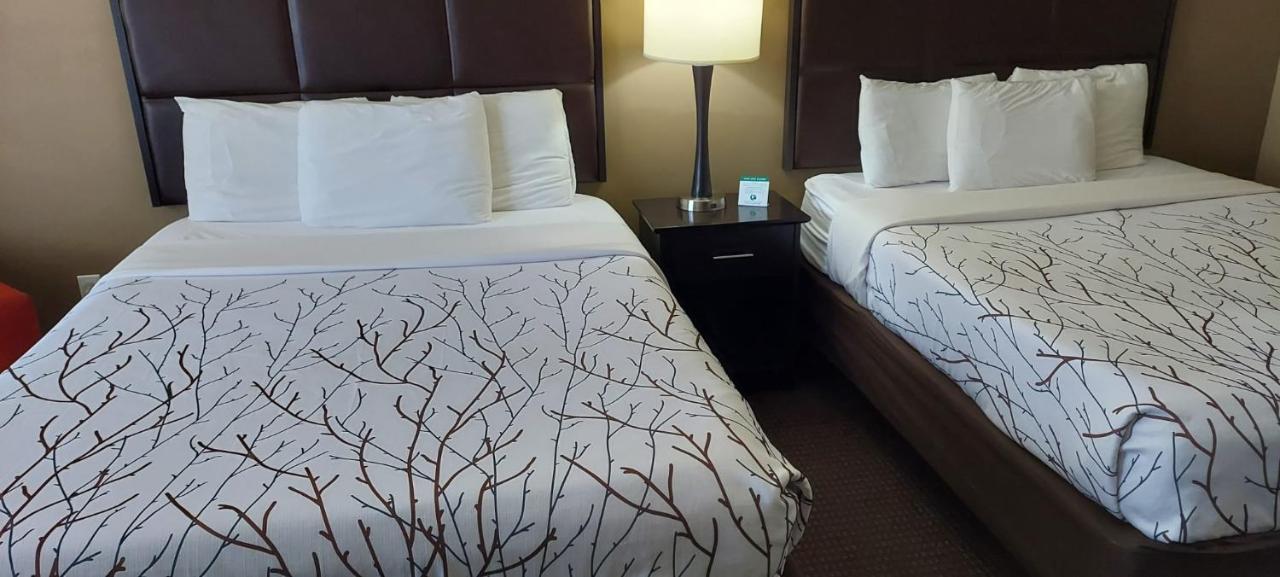 Queen Room Two Queen Beds