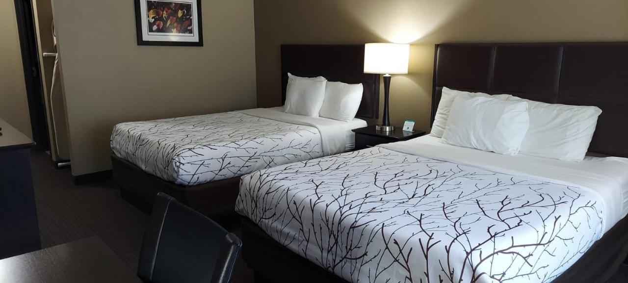 Queen Room Two Queen Beds