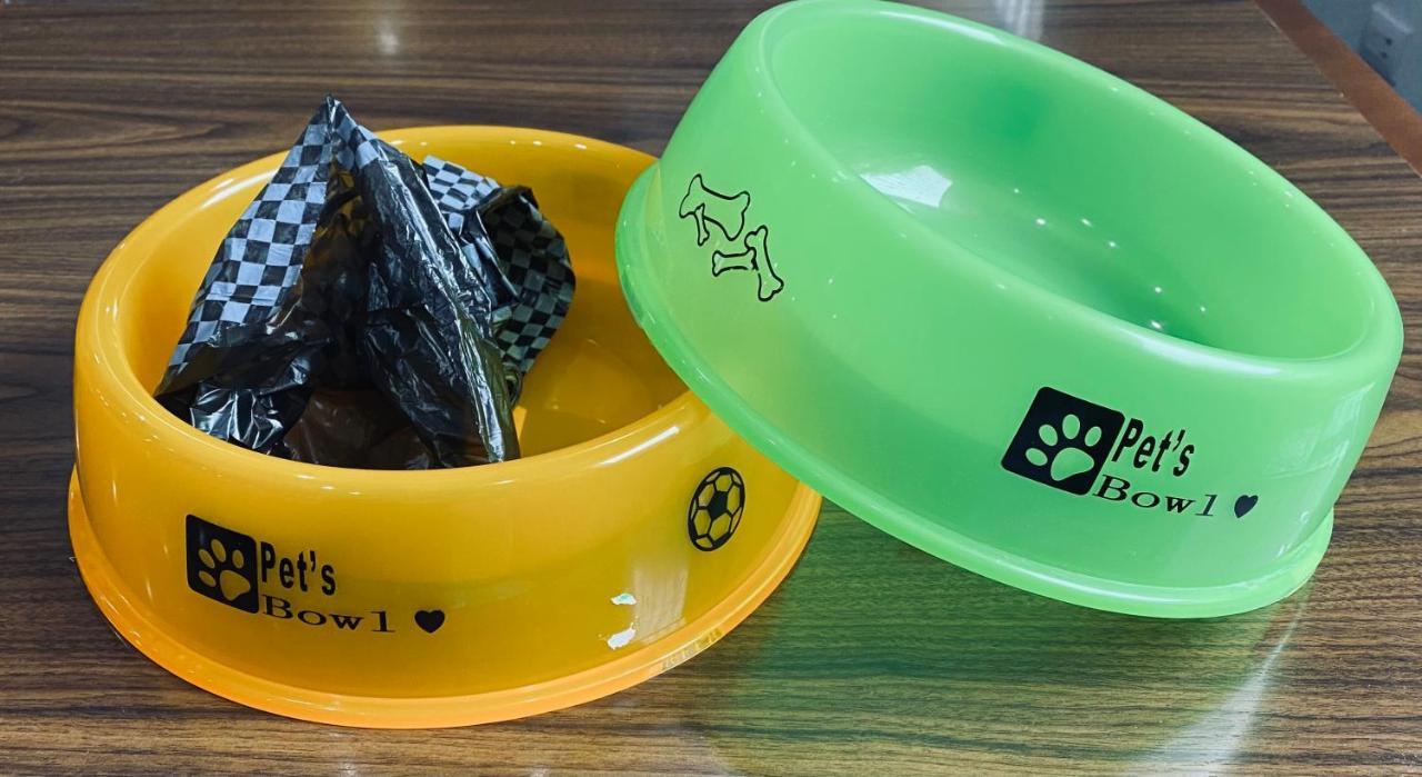 Suite Pet Friendly,1113919146:JPEG
