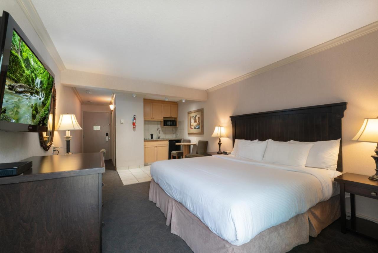 King Room Kitchenette