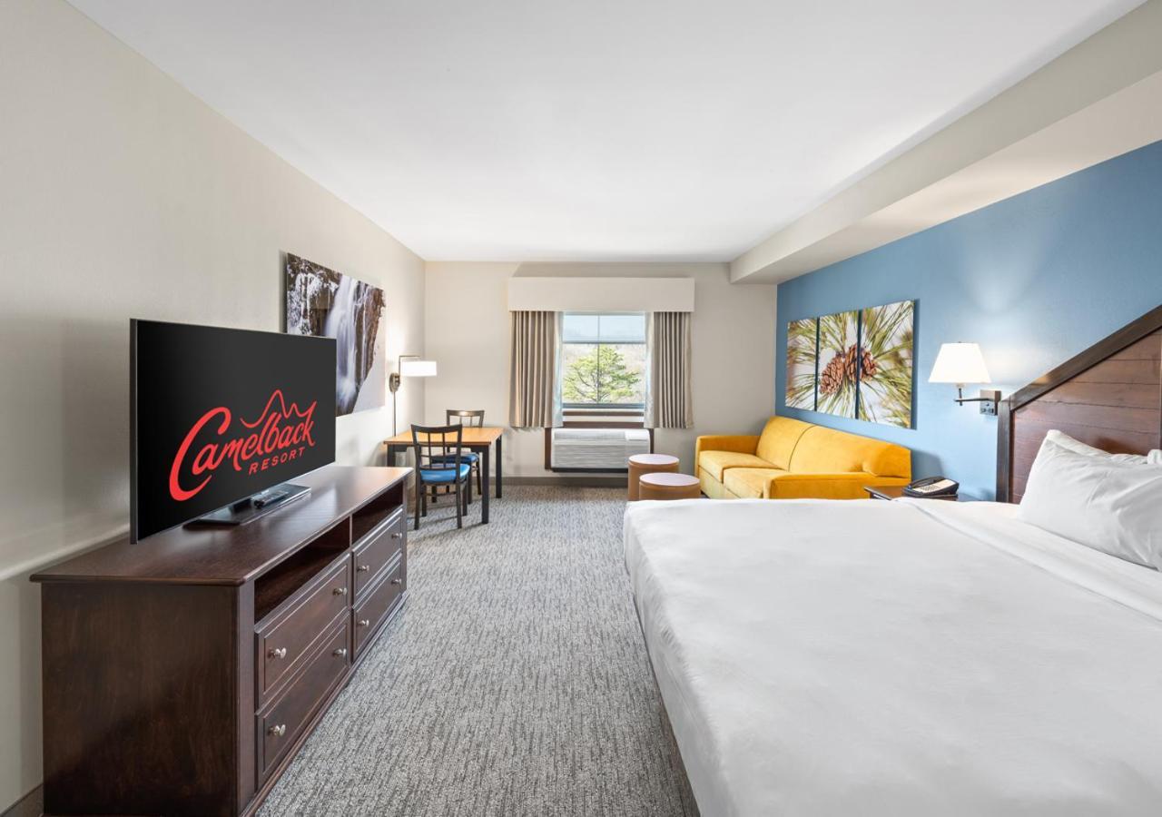 King Bunk Suite,1131599751:JPEG