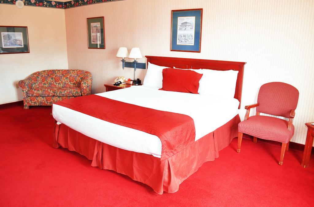 Standard King Room
