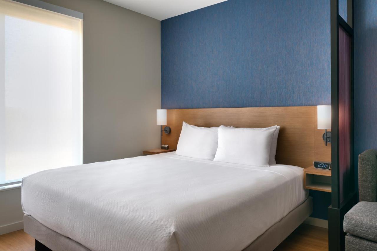 King Room with Sofa Bed and Roll-In Shower - Disability Access