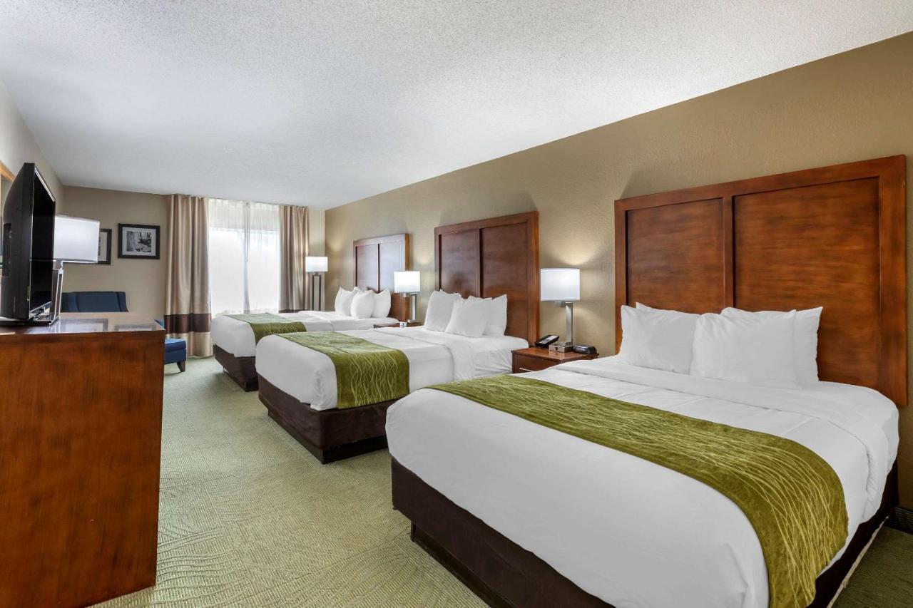 Queen Suite with Three Queen Beds - Non Smoking