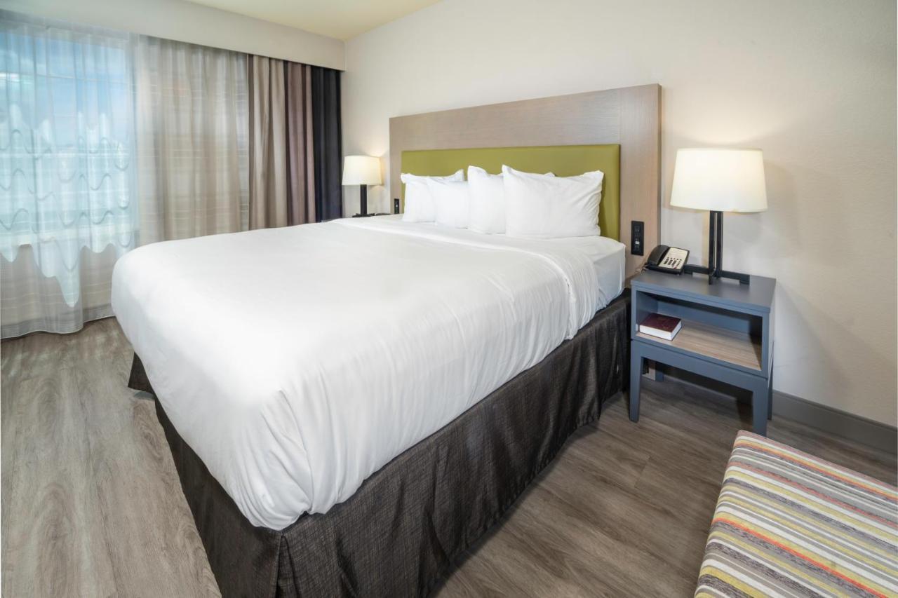 One-Bedroom Suite with Sofa Bed - Non-Smoking