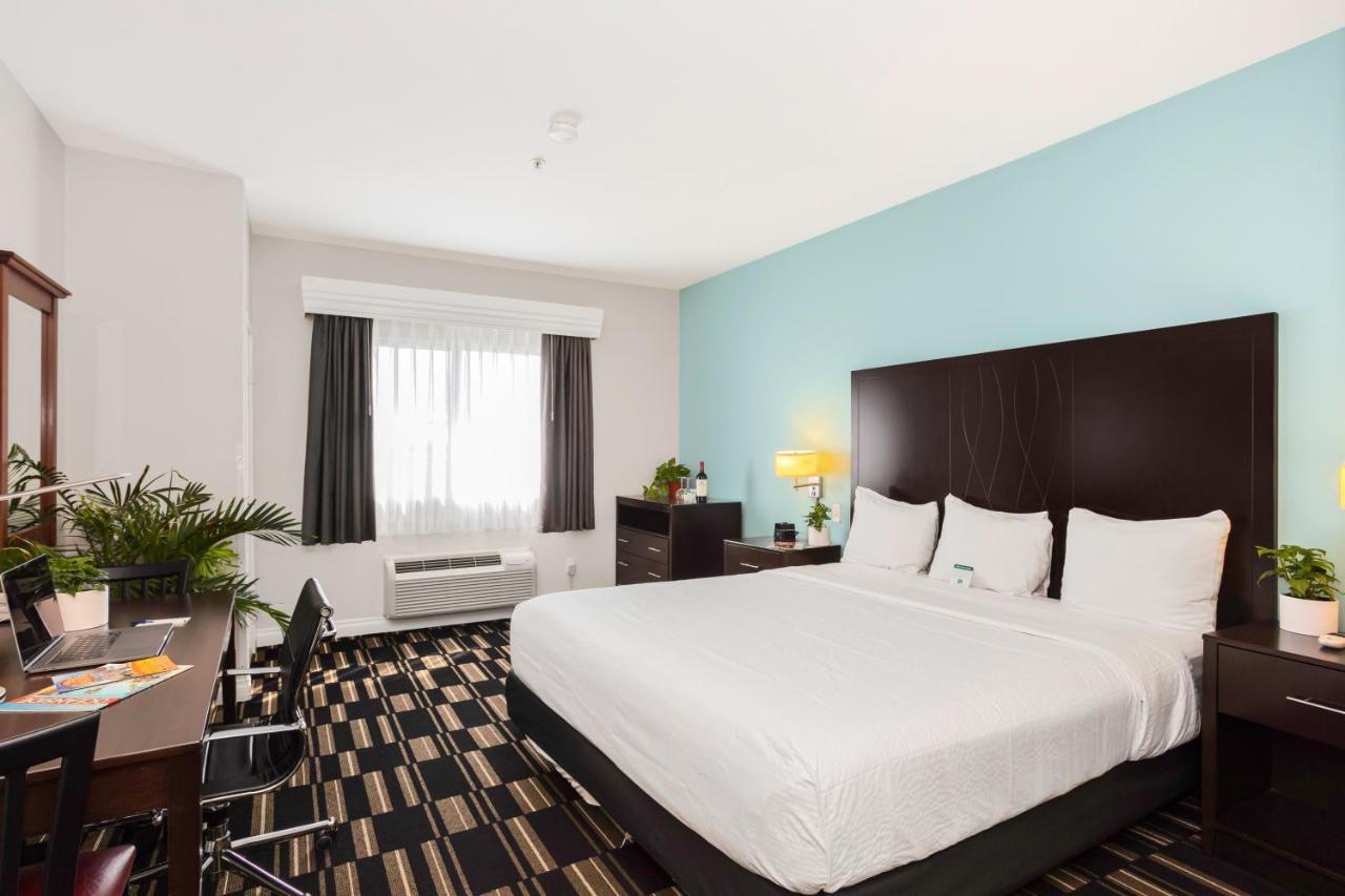 Standard King Room