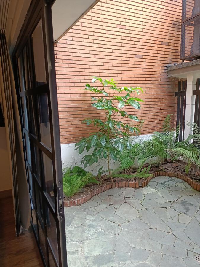 Junior Suite Terrace