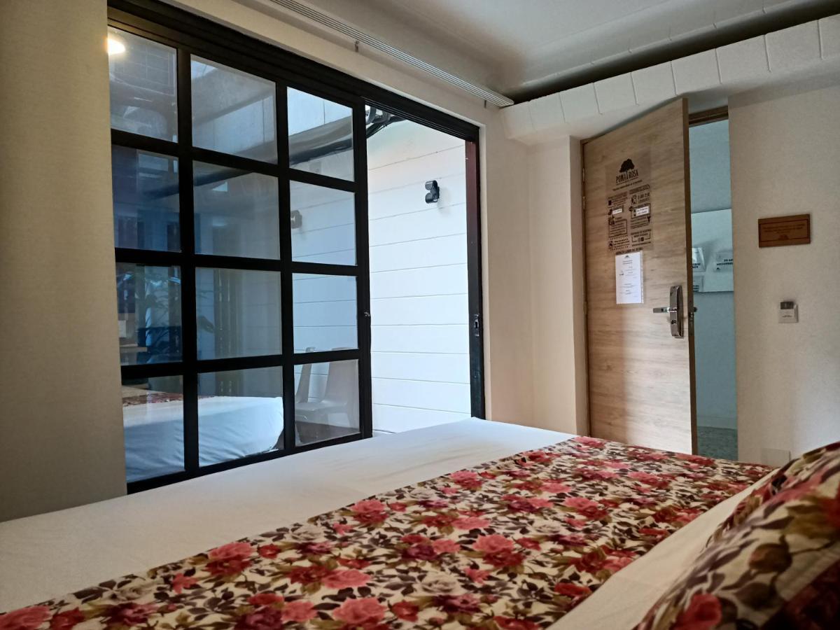 Junior Suite Terrace