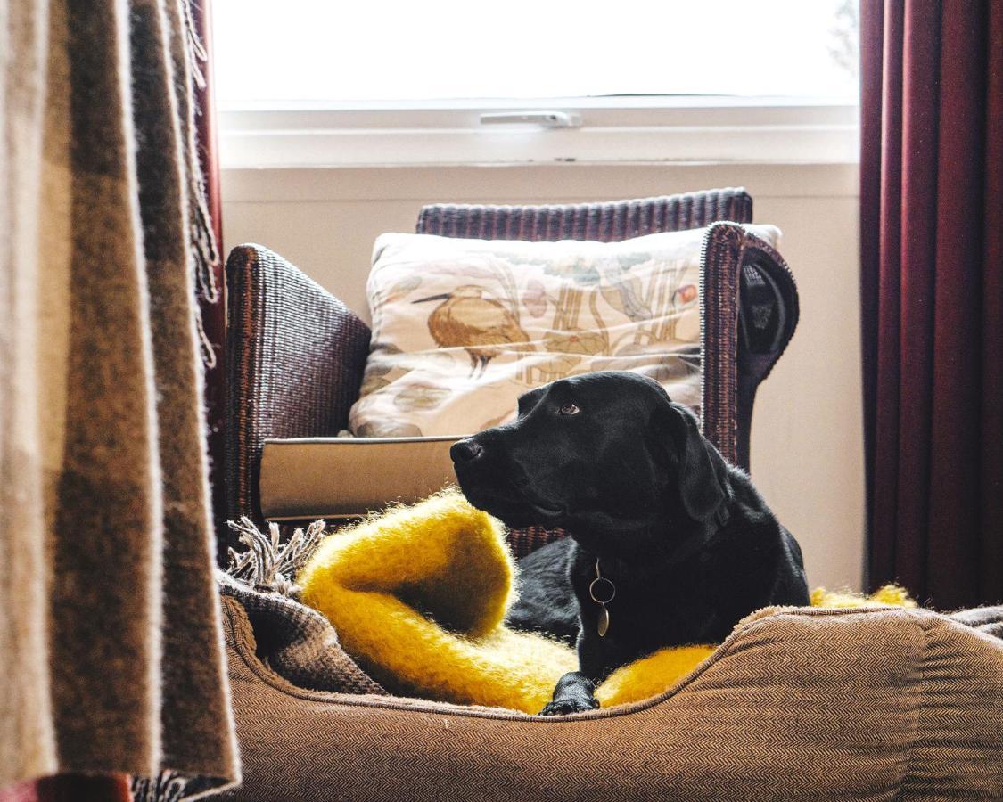 Classic Double Room - Pets Welcome