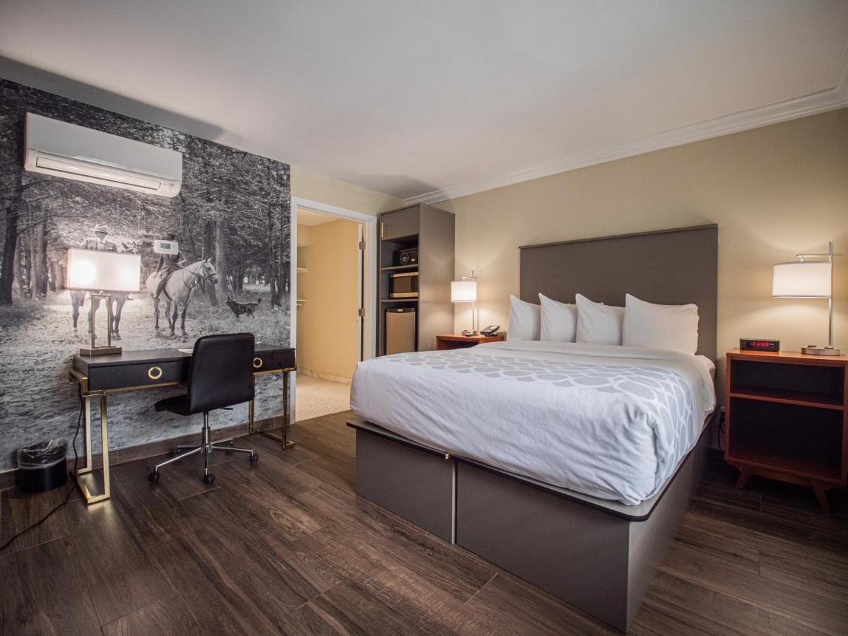 King Room Disability Access