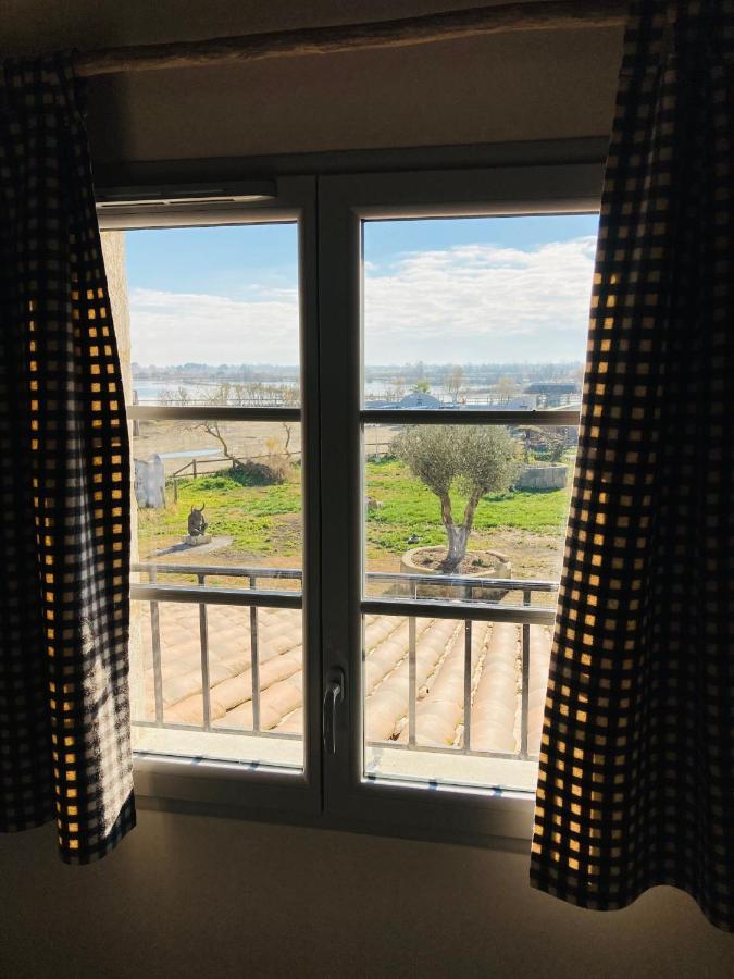 Apartment Garden View