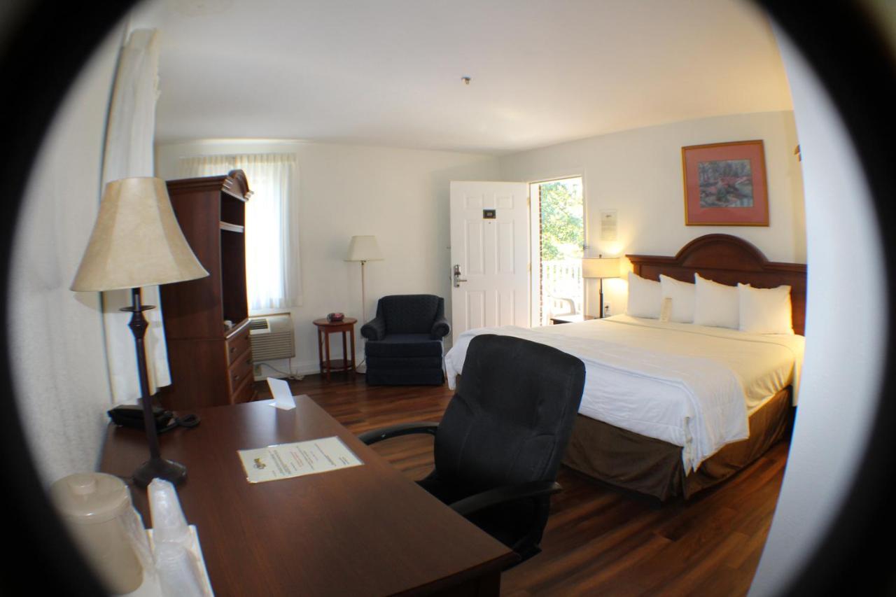 King Room Pet Friendly
