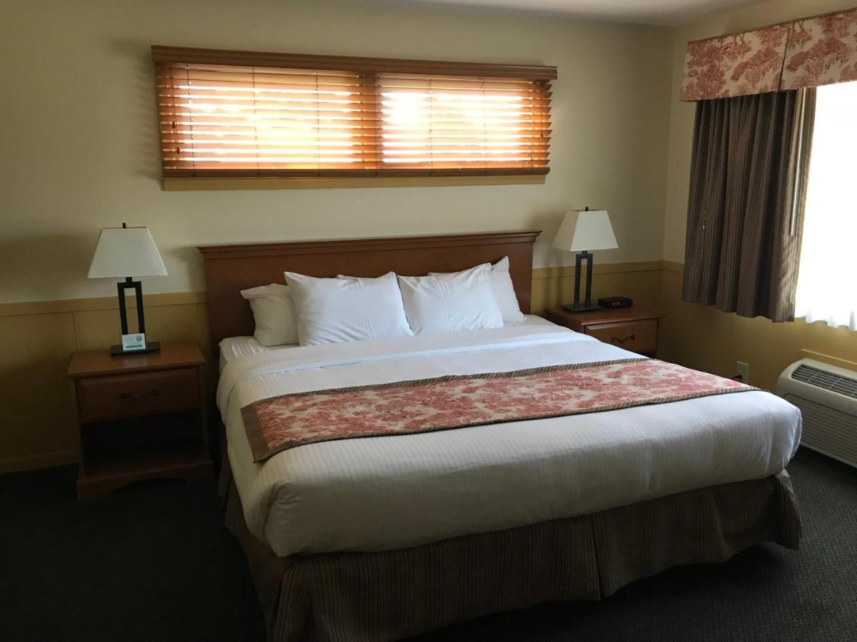 Standard King Room