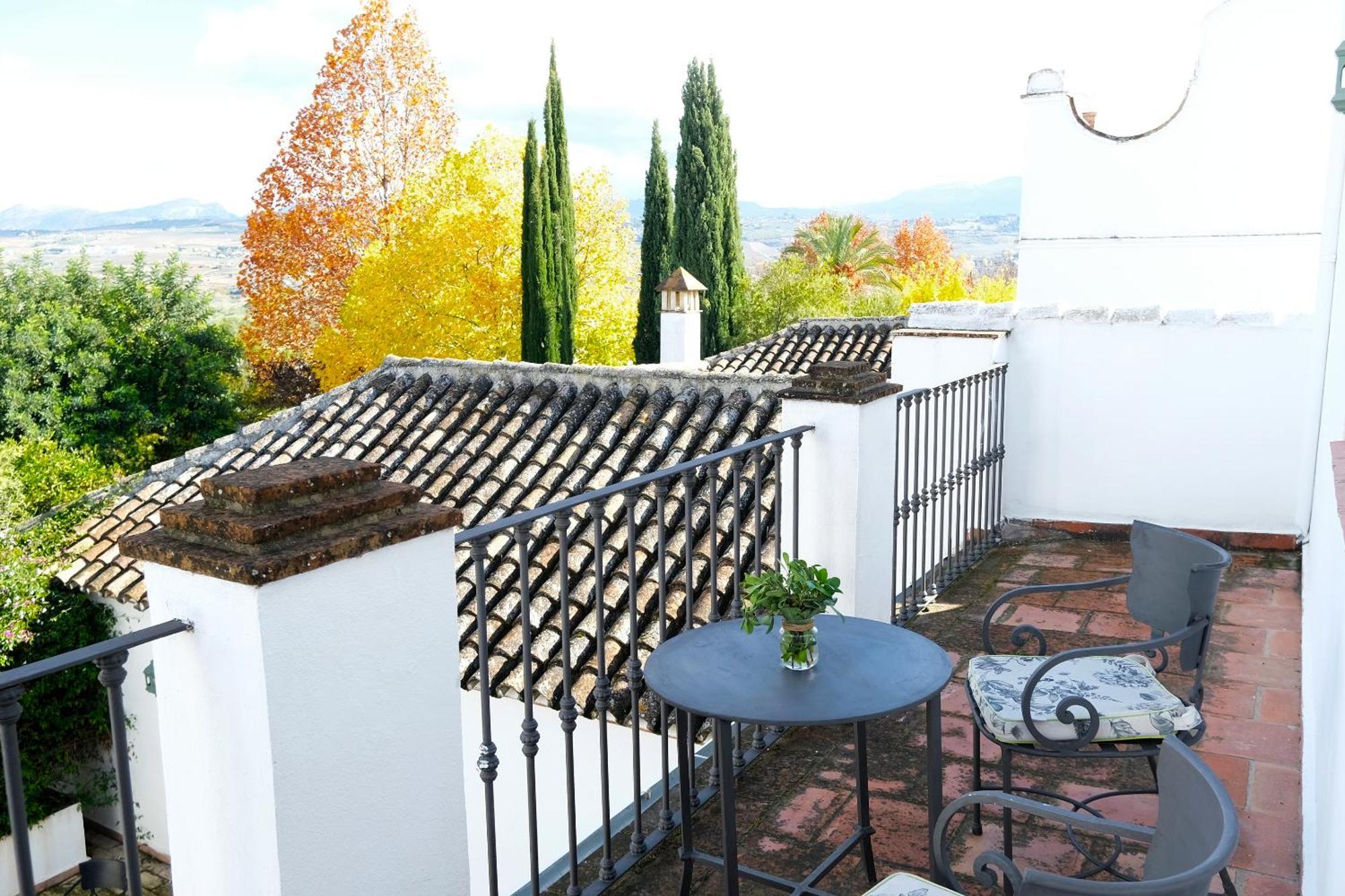 Junior Suite Terrace