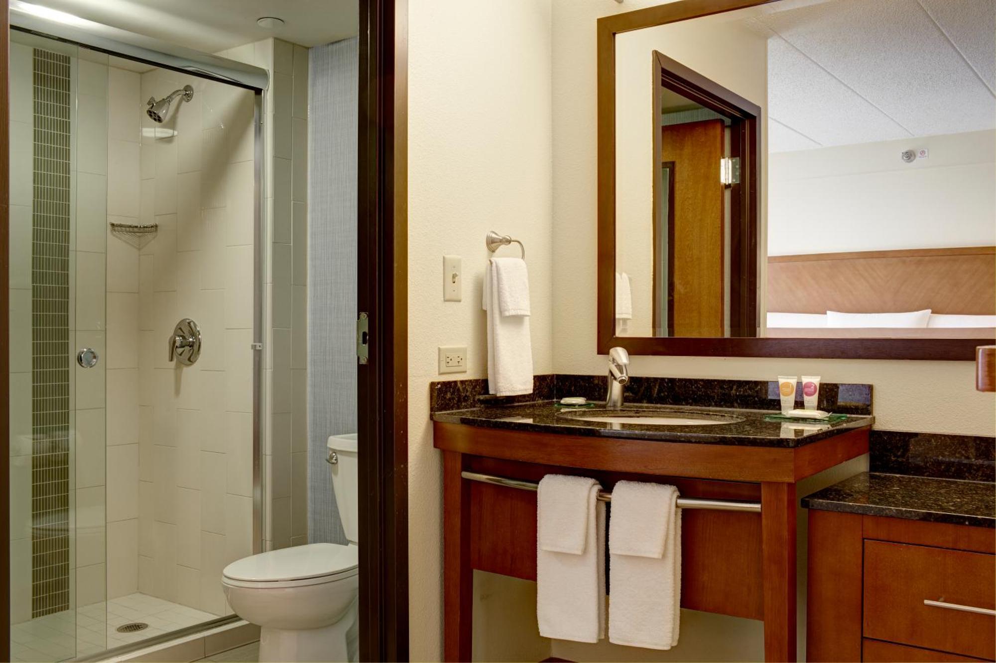 King Room Sofa Bed Accessible Tub Disability Access