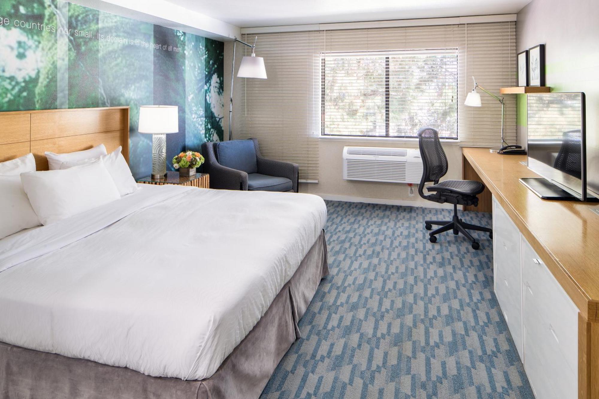 Deluxe Room King Accessible