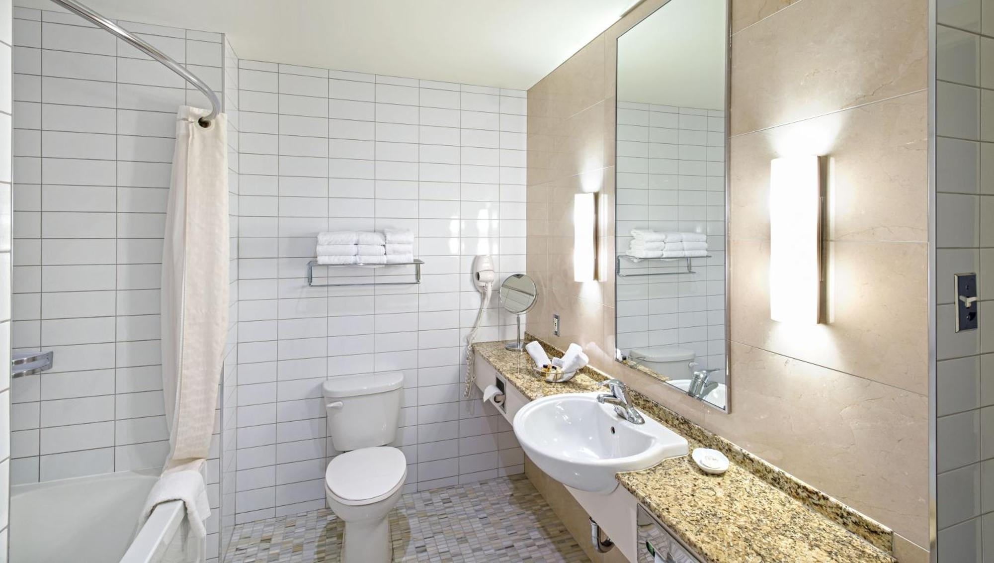 One-Bedroom King Suite