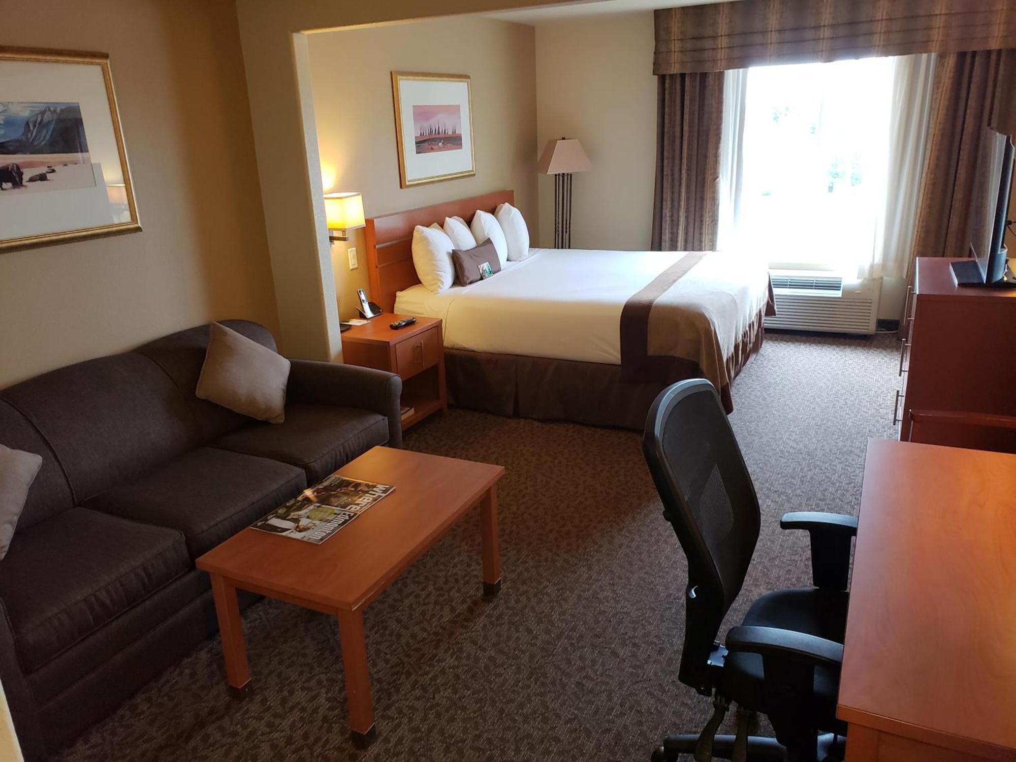 King Room Sofa Bed