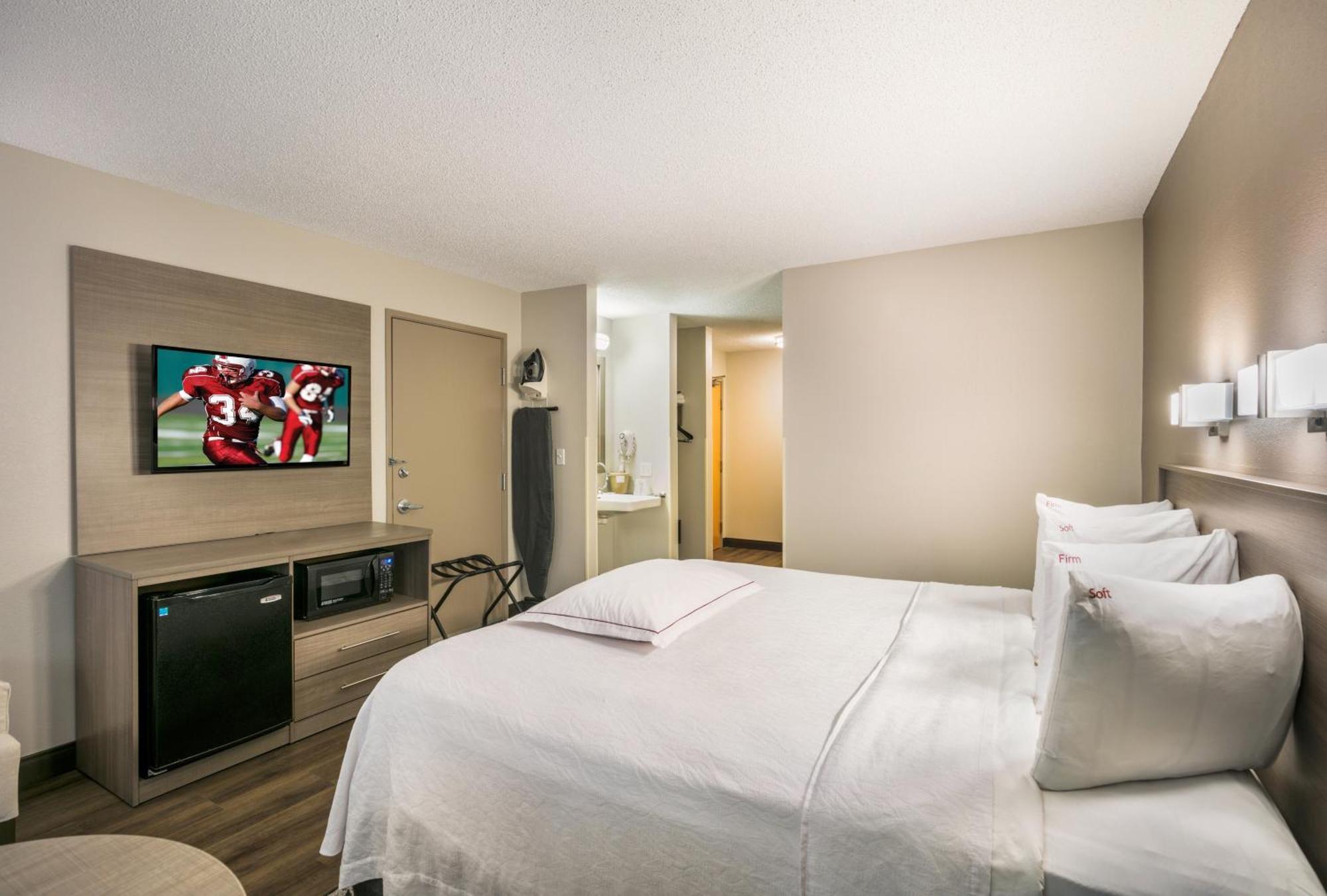 Premium King Room Smoke Upgraded Bedding Snack Box