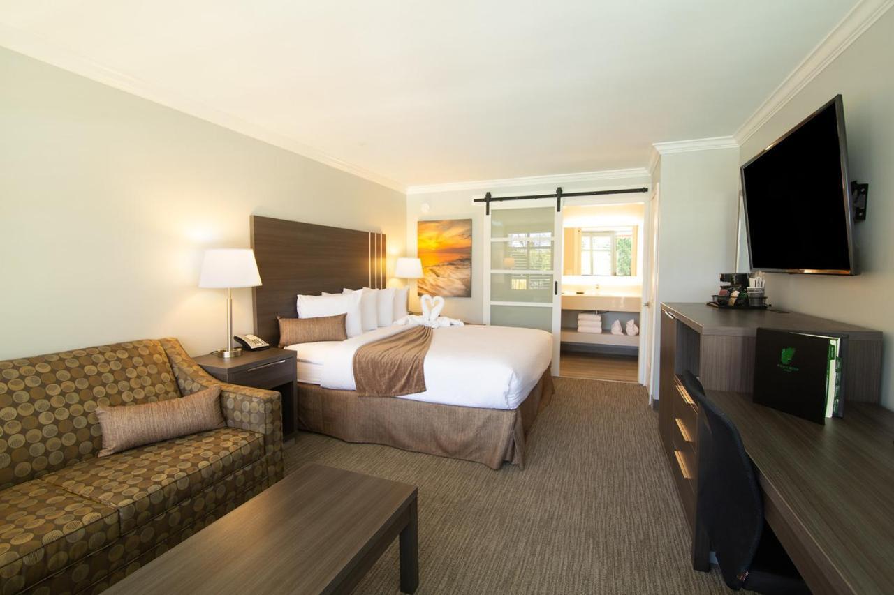 Courtyard King Room
