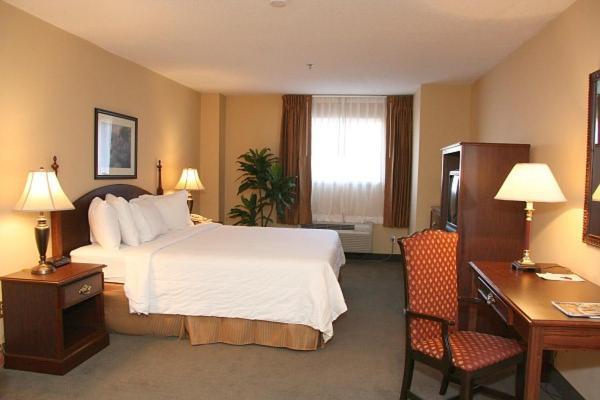1 King Bed