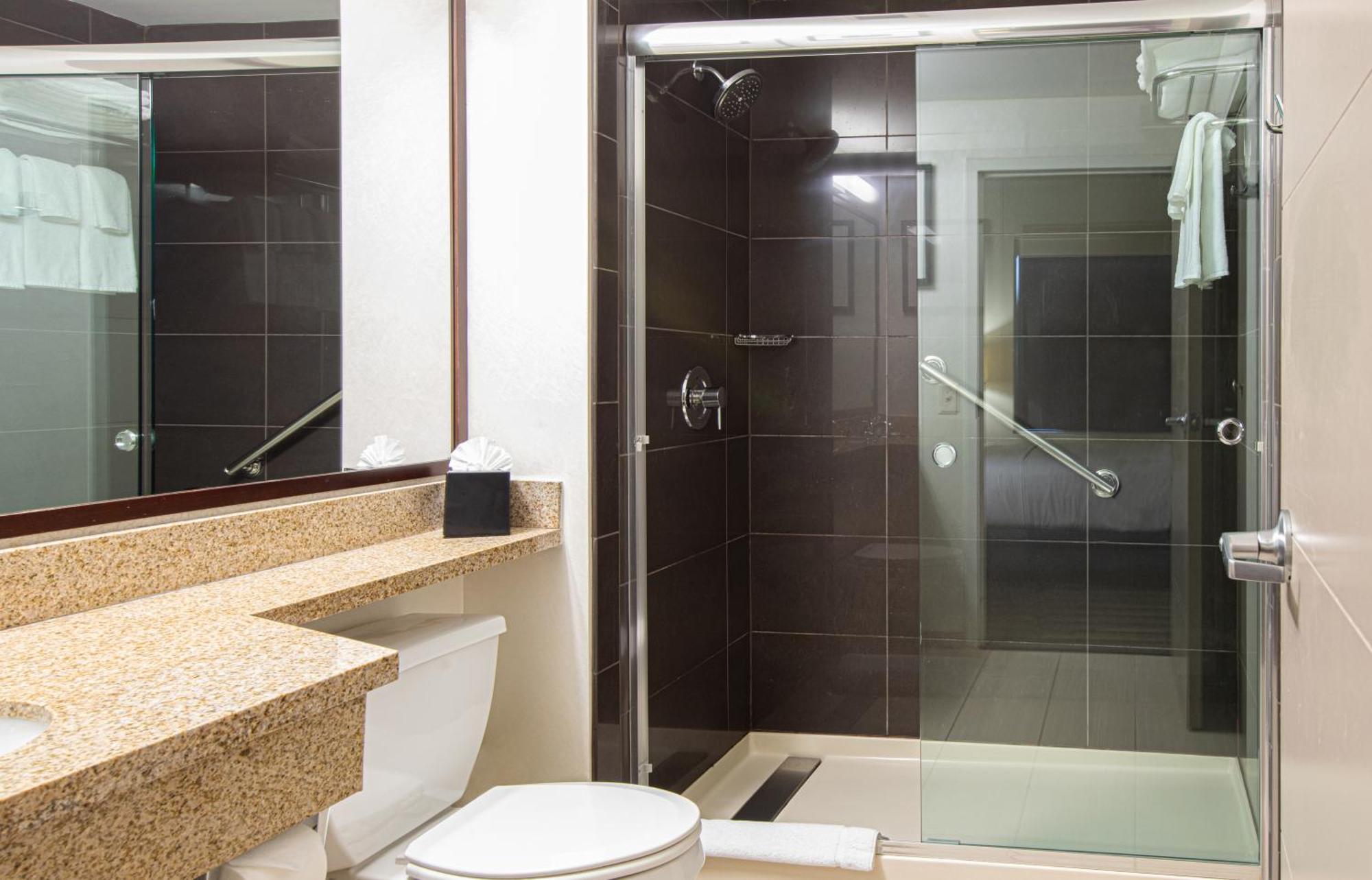 Queen Studio Suite